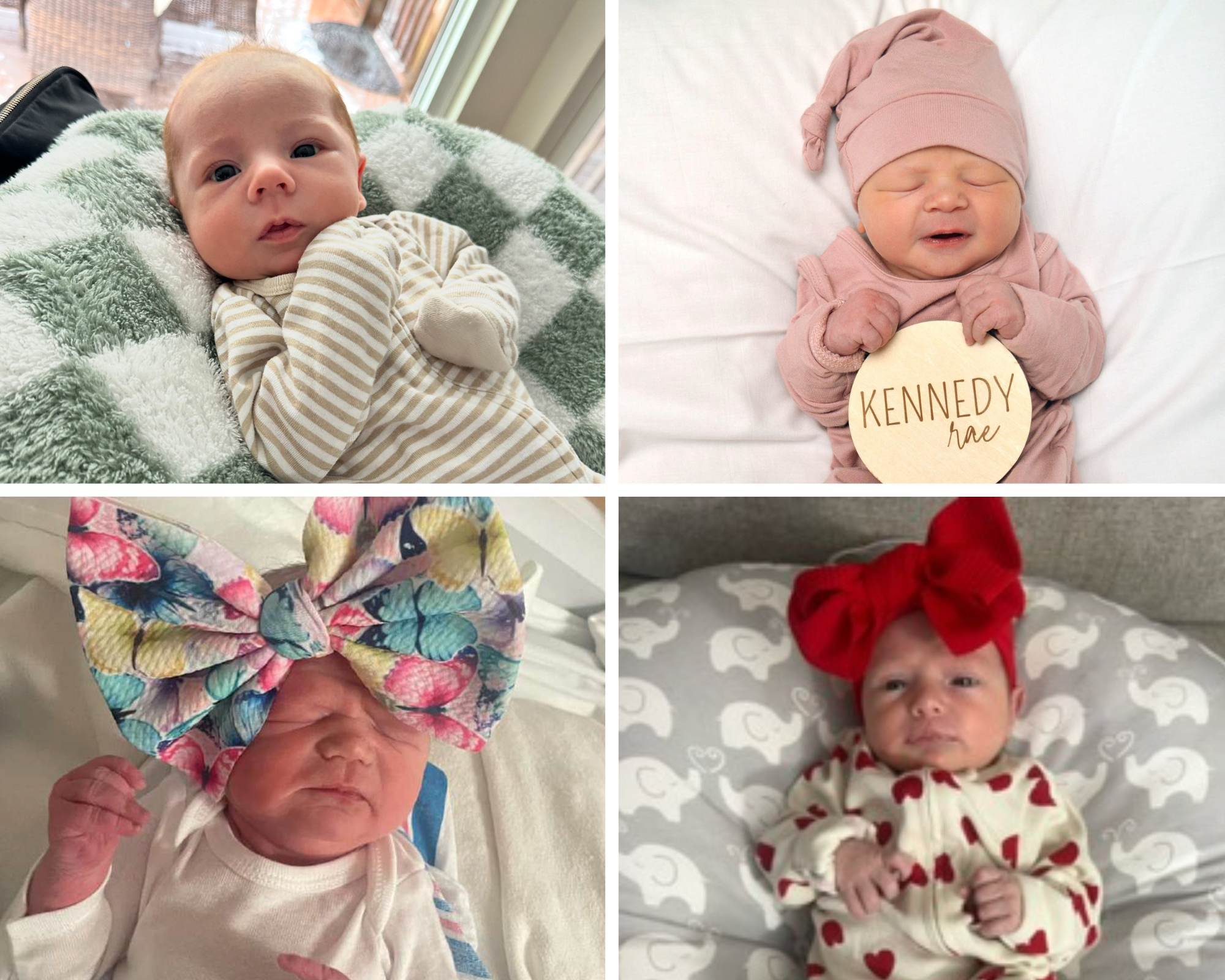 Collage of team baby photos